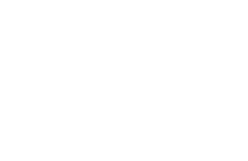 logo-reverse